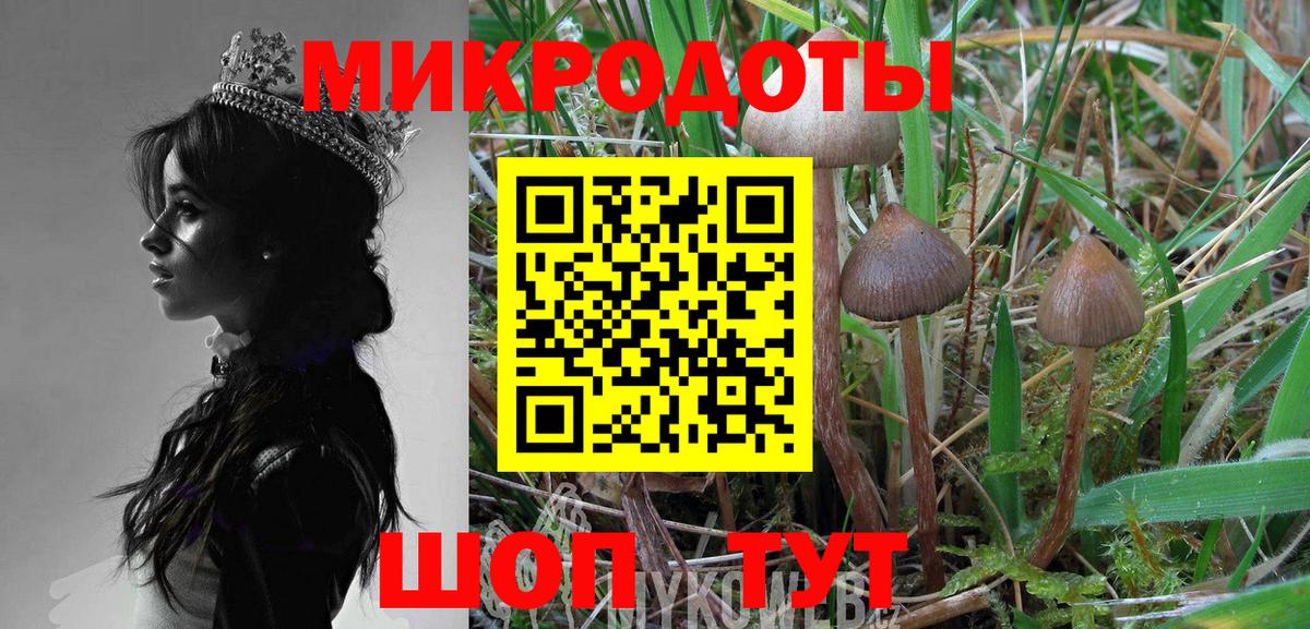 Псилоцибиновые грибы мицелий Озёры