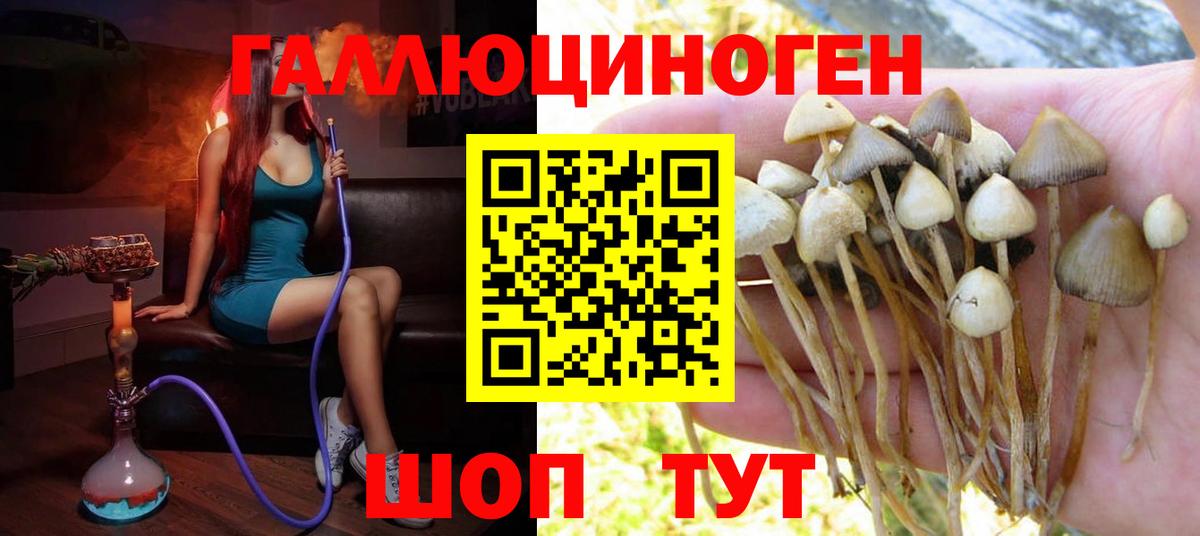 Озёры  Галлюциногенные грибы ЛСД  Вход с VPN 